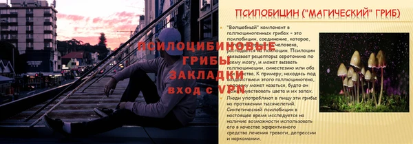круглые Пересвет